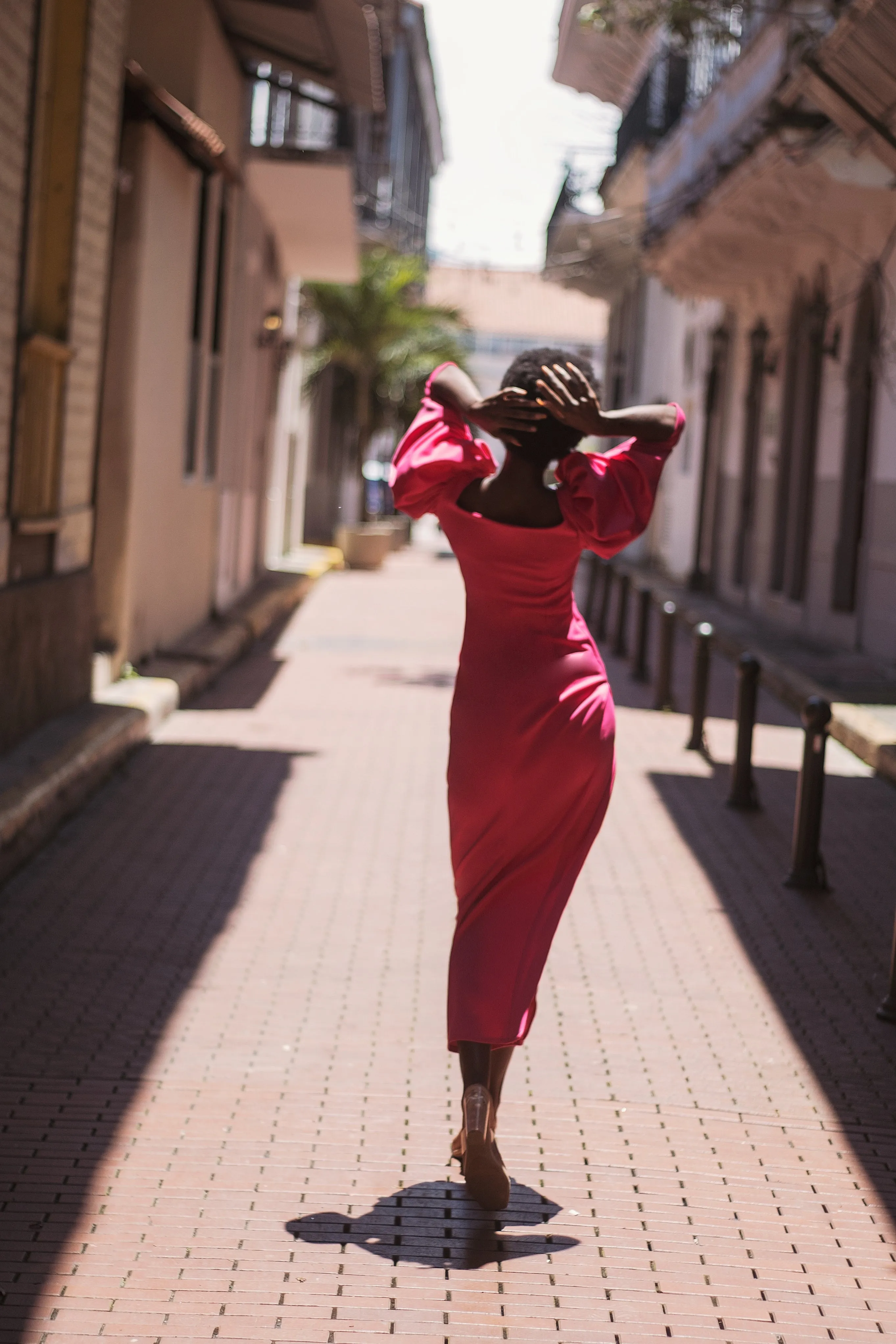 Alegria Dress